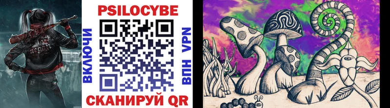 мега маркетплейс  Туринск  Псилоцибиновые грибы Cubensis  как найти  